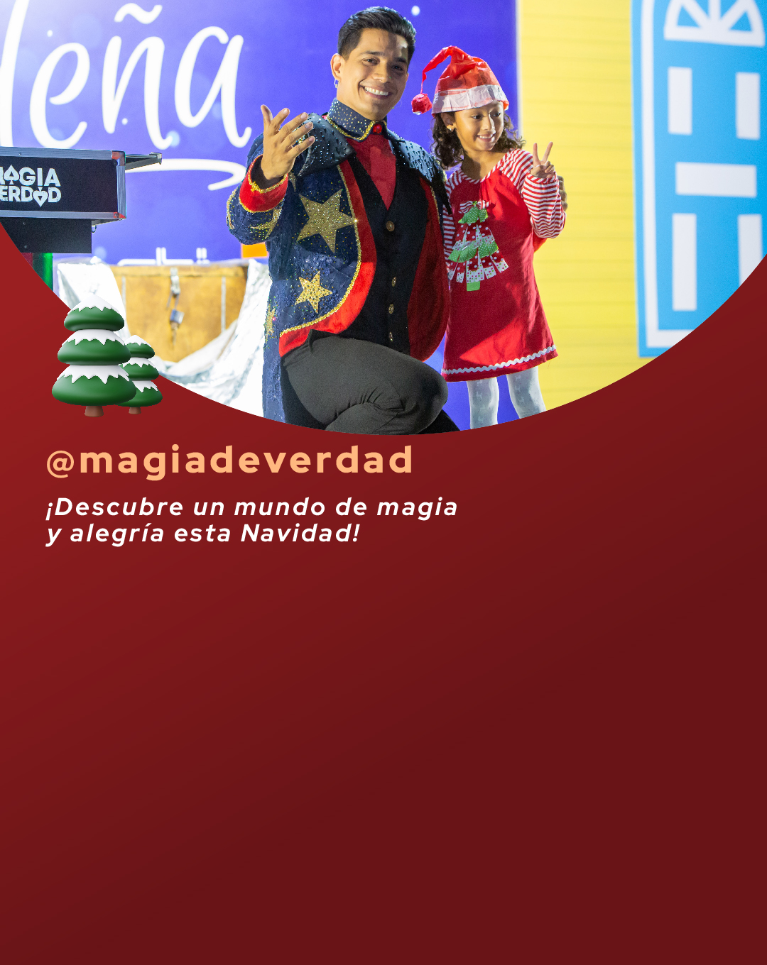 Show infantil: Fantasy Xmas Magic.