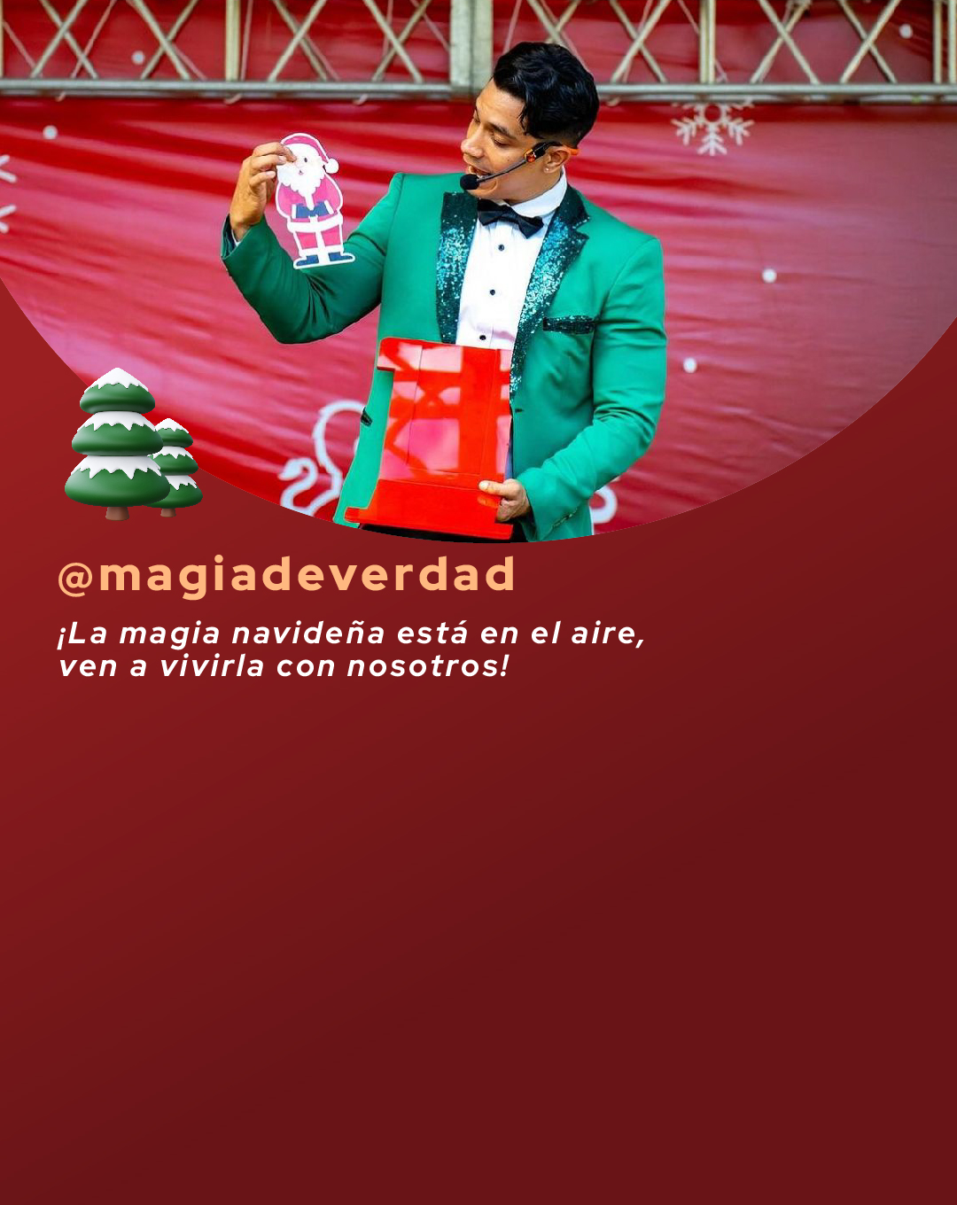 Show infantil: Magic Christimas